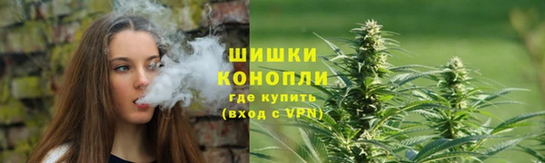 дмт Надым