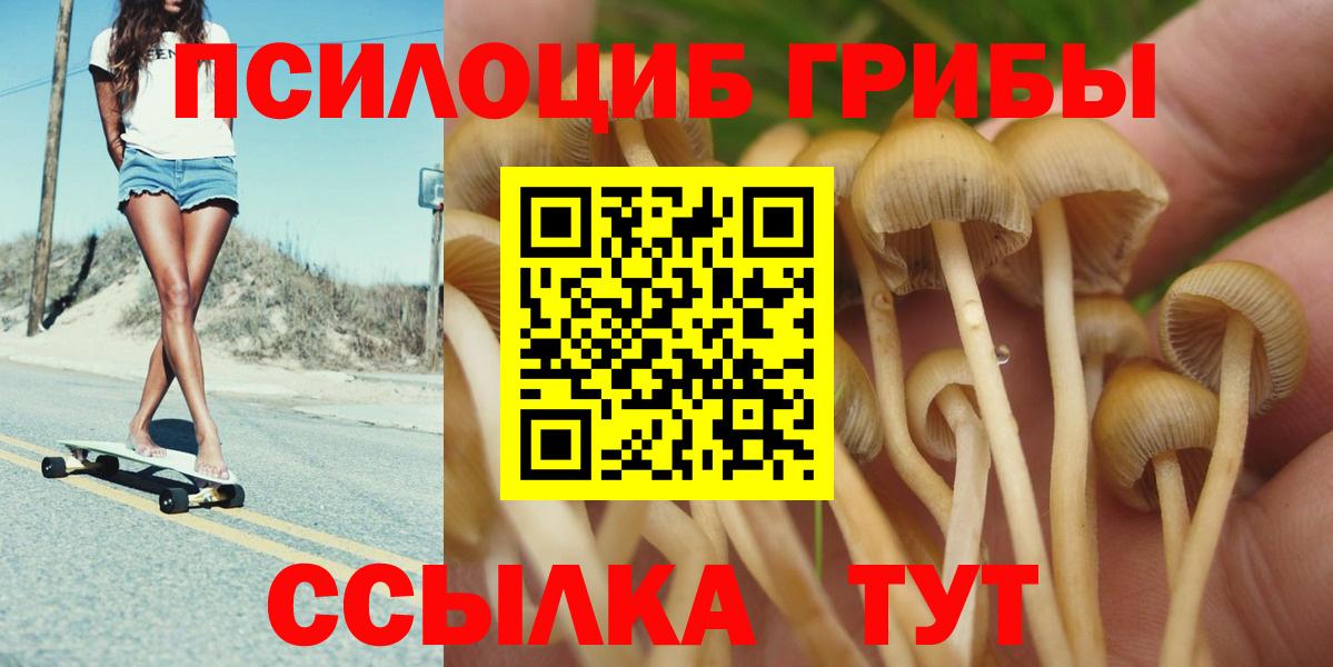 Псилоцибиновые грибы MAGIC MUSHROOMS Кинель