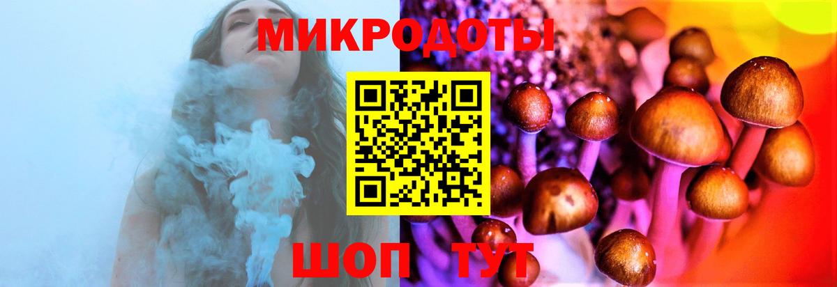 Кинель  Галлюциногенные грибы прущие грибы  Вход с VPN 