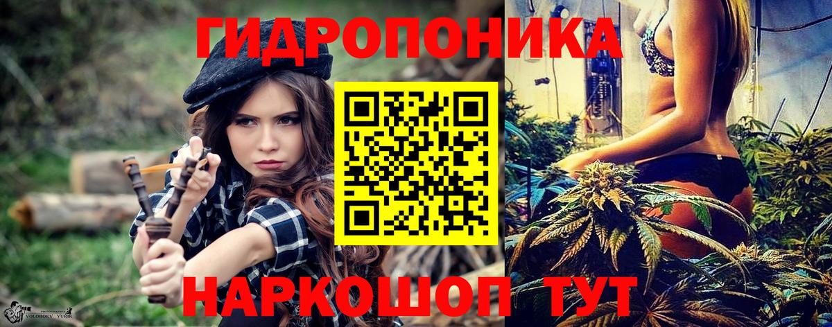 Бошки Шишки план  Кинель  МАРИХУАНА планчик  МАРИХУАНА ГИДРОПОН  Марихуана LSD WEED 